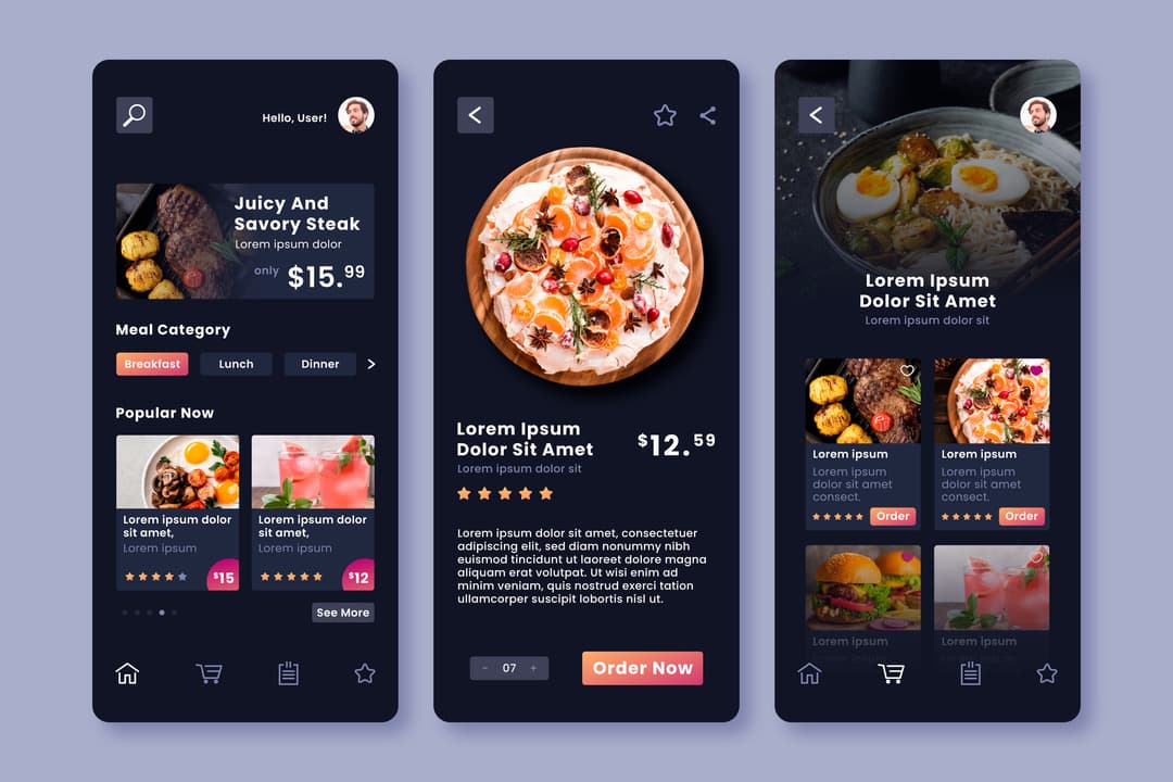 Mobile App Development Example